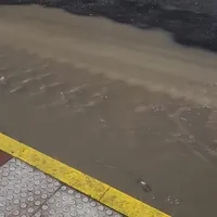 original sound - 19.01.04