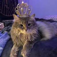 original sound - belinha.xz8