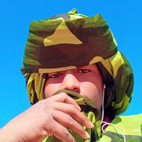 الصوت الأصلي