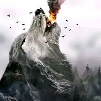 hmedbourhim4