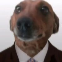 unweyrandom7