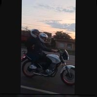 noe_frutos