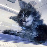 nhạc nền - want u.