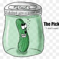 castraveciori..murati