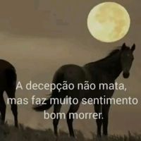 adilonlima59