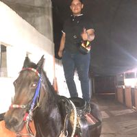 eldolar84