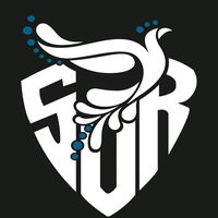 f.a.caporales.del.sur