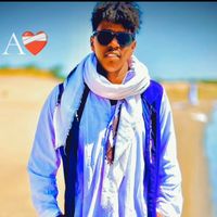 ahmedkarar.4