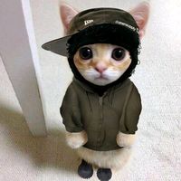 оригинальный звук