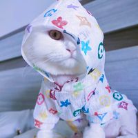 maggieshop0