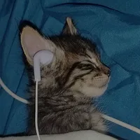 original sound - lyrics_arg