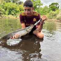 ambientedepesca