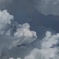 dandelions by ruth b