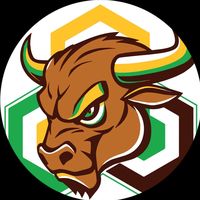 theblockchainbullhornn