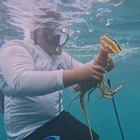 jj_fishing_adventures