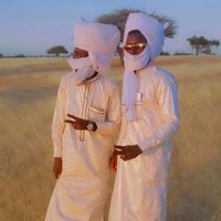 الصوت الأصلي