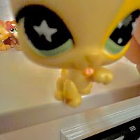 lpsxkitty