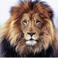 kingofnature12