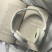 i_love_these_song