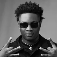 DJ VIBE FREEMIX PASE PRANM