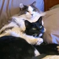 timothyandsebastian