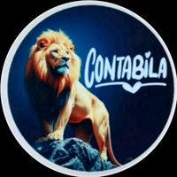 contabila_578
