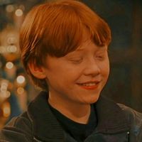 _harry_potter______
