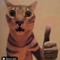 cowboytraumasurvivor