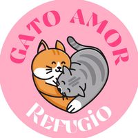 refugiogatoamor