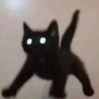 yannmeoww