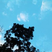 josevilla139