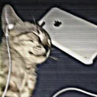 original sound - matxfi