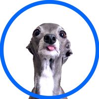 So You Think Im Skinny