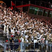 bataviadogpound
