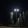 beisenbaevv_0