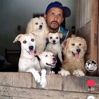 fofoqueirinhos08611569