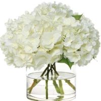 lillllllllllllllllian