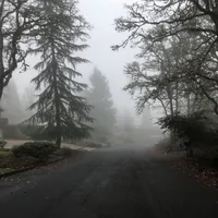 Sad violin meme sound