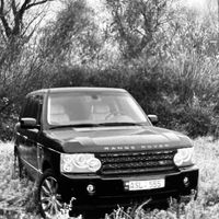 91bogdan