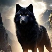 historiasdeunlobo