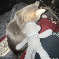 how do i delete this