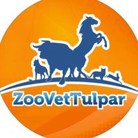 zoovettulpar