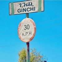 ginchi6
