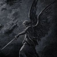 darkking9853