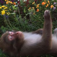 bleachseepingintomyscalp