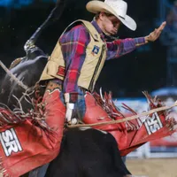 original sound - bestdambullrider