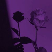 your.little_green.potato