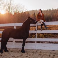 yaremche_horse