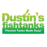 dustinsfishtanks
