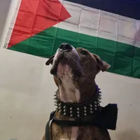 original sound - mkbx13